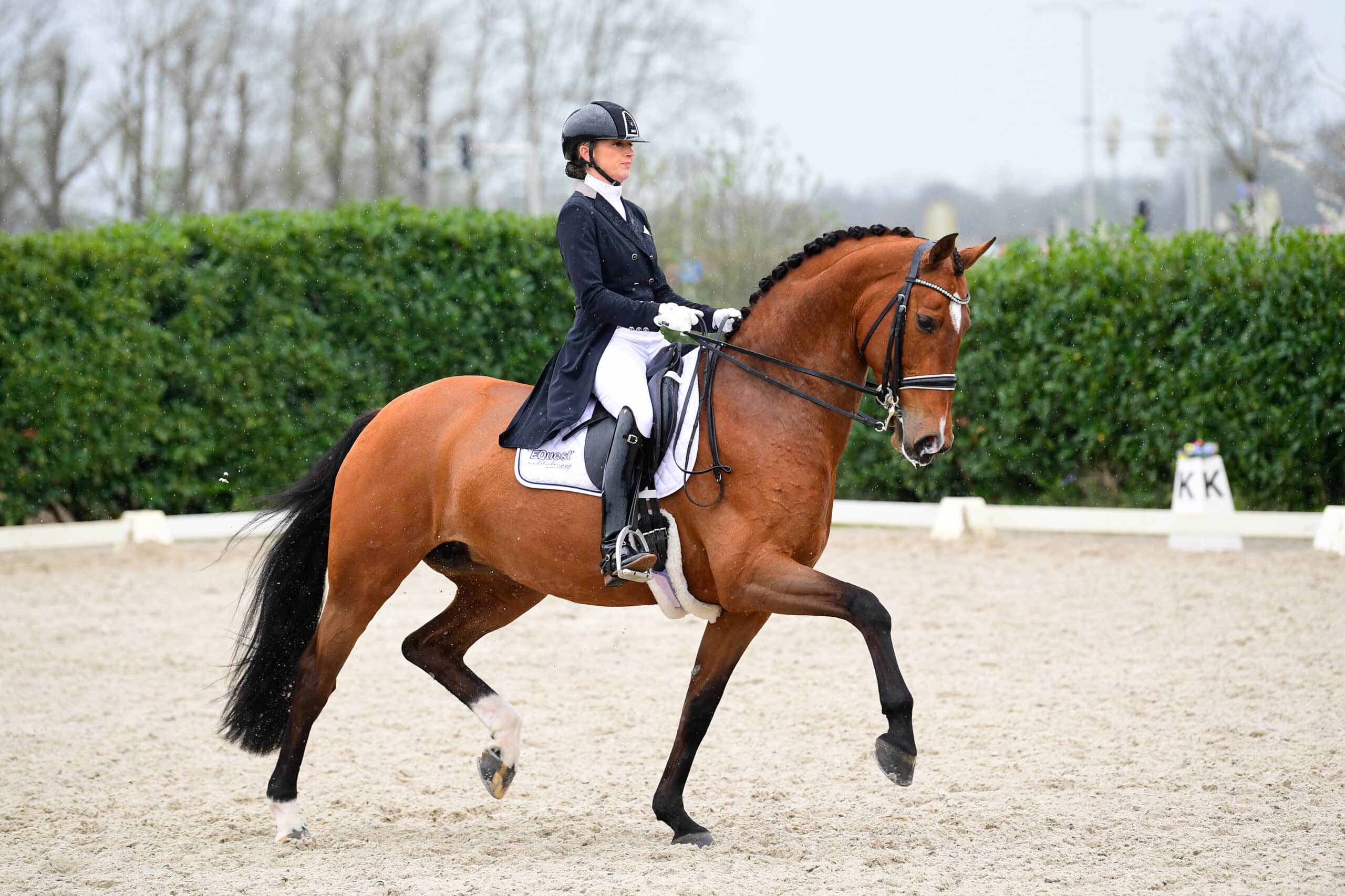 Girlpower! - Dressuurstal van Baalen